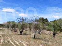 For sale - Rustic Land - Penáguila