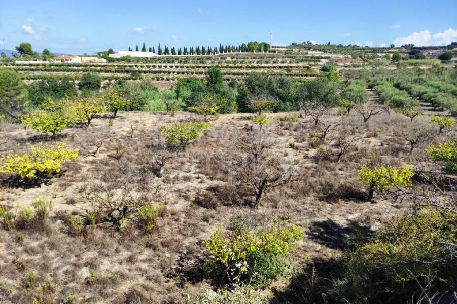 Venta - Casa de Campo - Albaida