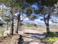 Te koop - Landhuis - Benilloba