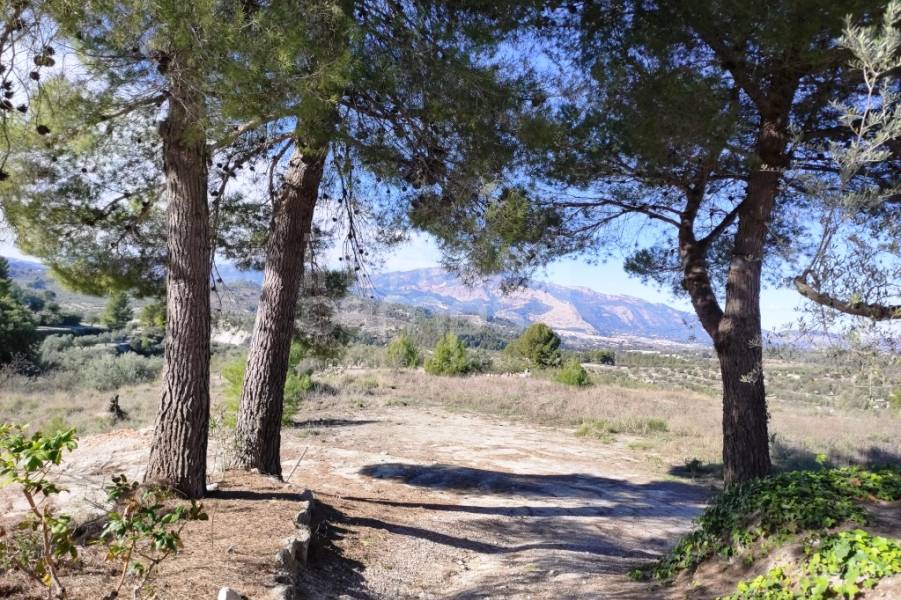 Te koop - Landhuis - Benilloba