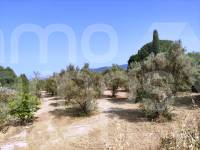 For sale - Country House - Penáguila