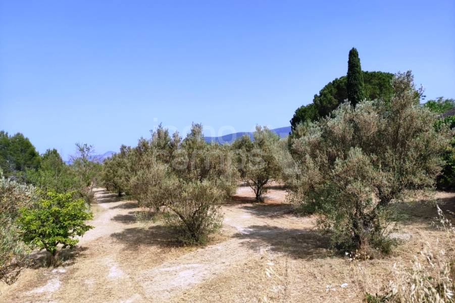 For sale - Country House - Penáguila
