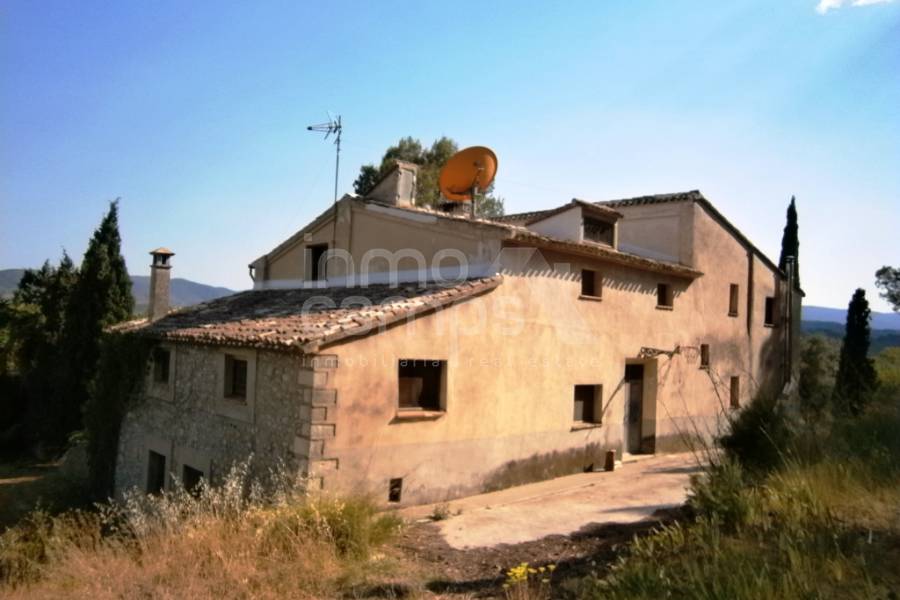 Venta - Finca - Millena