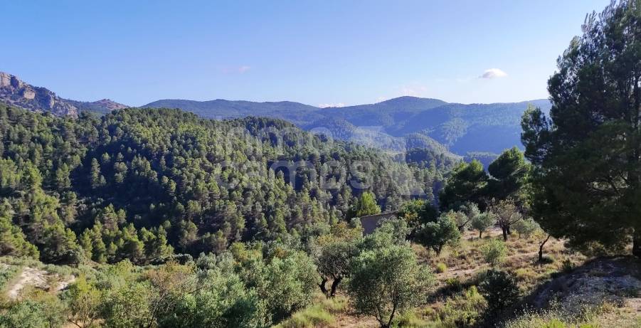 Venta - Casa de Campo - Benasau