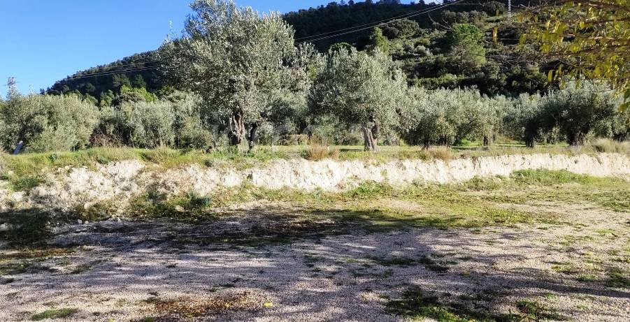 For sale - Finca - Bocairent