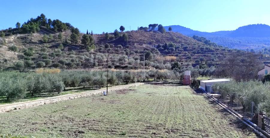 Te koop - Finca - Alcoy