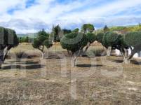 Te koop - Villa - Ontinyent