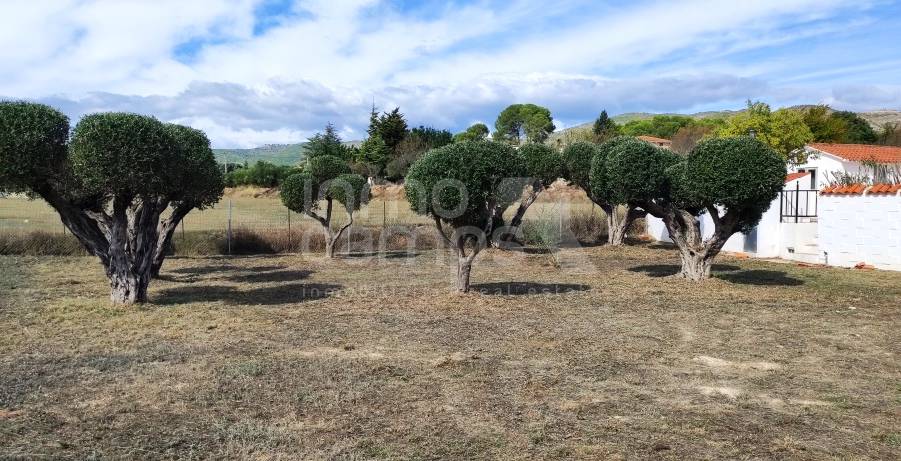 Te koop - Villa - Ontinyent