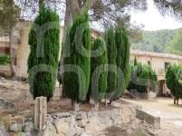 Venta - Finca - Alcoy