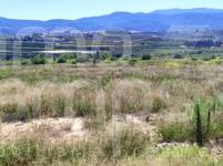 Te koop - Finca - Albaida