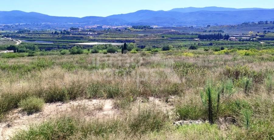 Te koop - Finca - Albaida