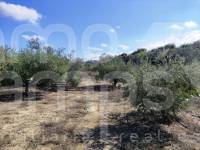 Venta - Casa de Campo - Albaida