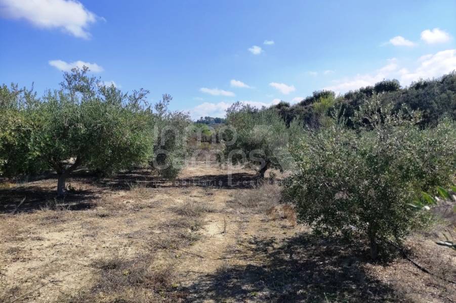 Venta - Casa de Campo - Albaida