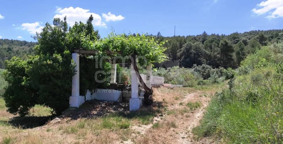 Venta - Finca - Bocairent