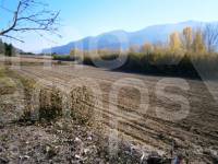 Te koop - Landhuis - Agres