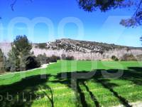 For sale - Finca - Alfafara