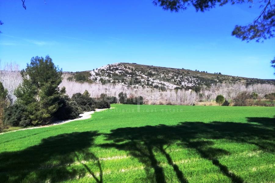 For sale - Finca - Alfafara