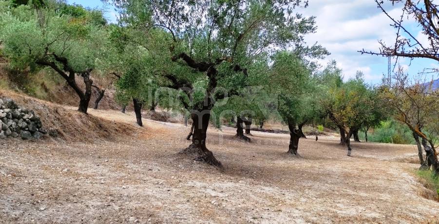 Venta - Casa de Campo - Cocentaina