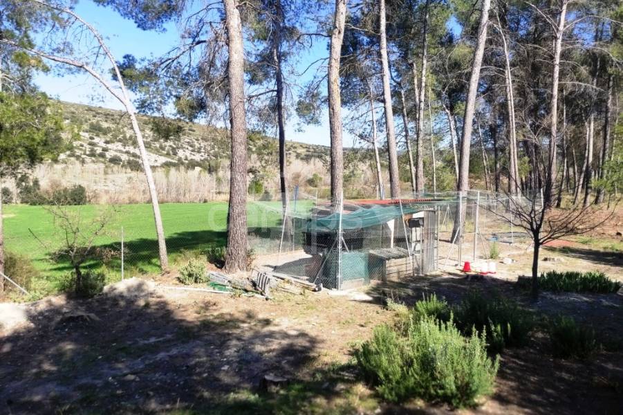 For sale - Finca - Alfafara