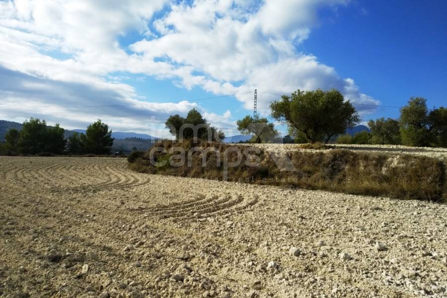 For sale - Rustic Land - Benillup