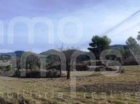 Venta - Finca - Torremanzanas