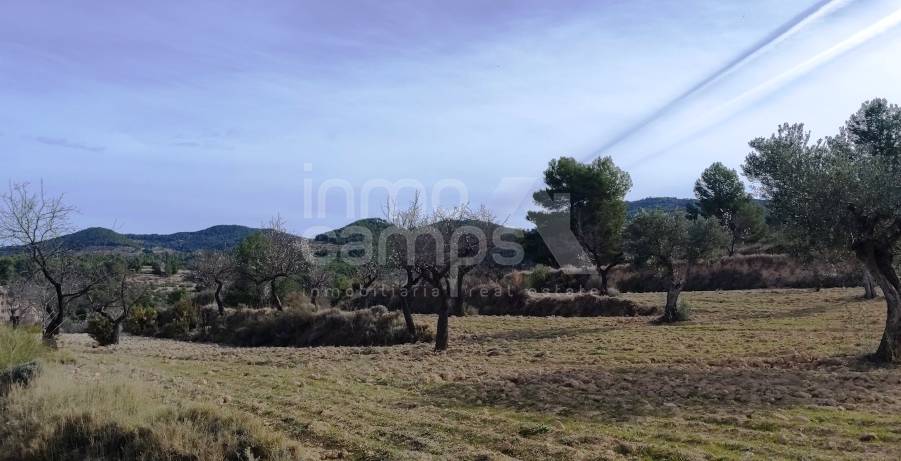 Venta - Finca - Torremanzanas