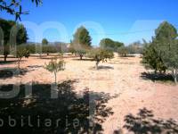 For sale - Country House - Ontinyent