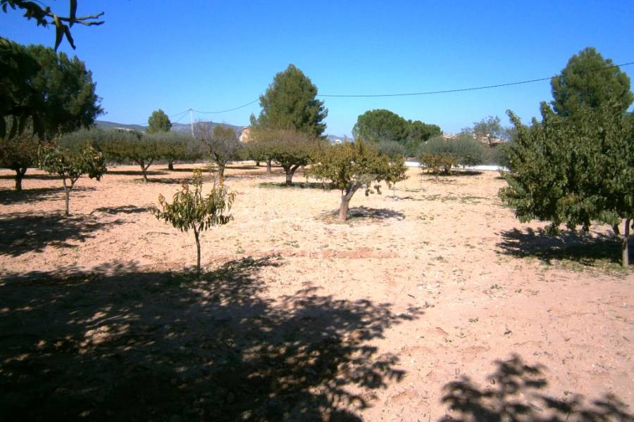 For sale - Country House - Ontinyent