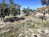 Te koop - Landhuis - Benilloba