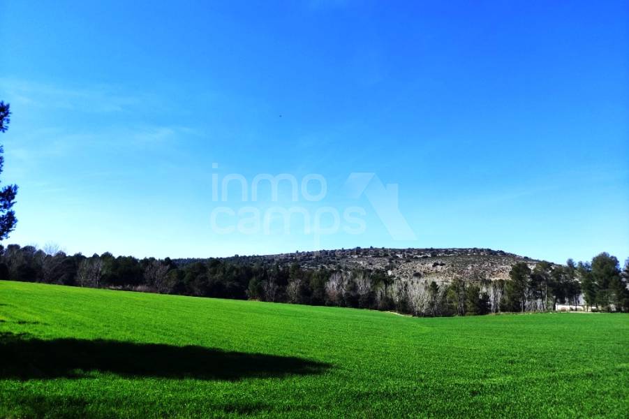 For sale - Finca - Alfafara