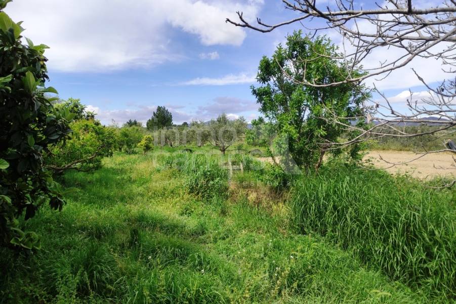 Te koop - Landhuis - Albaida