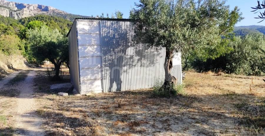 Te koop - Landhuis - Benasau