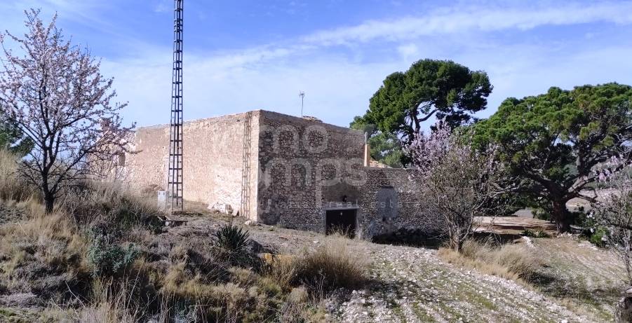 Venta - Finca - Torremanzanas
