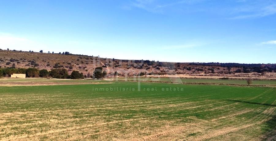 Venta - Parcela Rústica - Alfafara