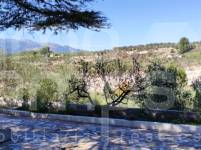 Te koop - Landhuis - Cocentaina