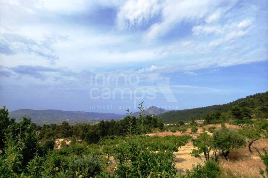 Venta - Casa de Campo - Penáguila