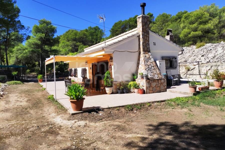 Venta - Casa de Campo - Alcoy