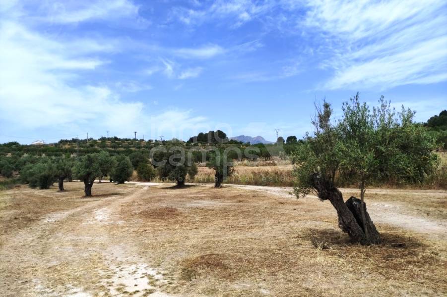 Te koop - Landhuis - Millena