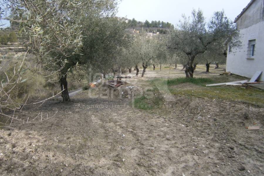 Venta - Casa de Campo - Cocentaina