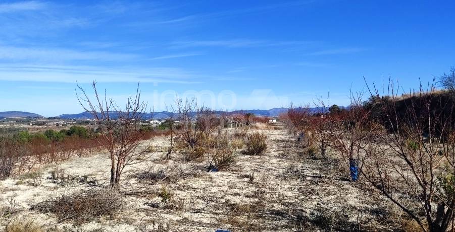 Venta - Parcela Rústica - Bufali