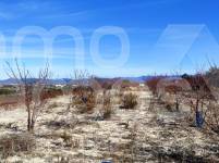 For sale - Rustic Land - Bufali