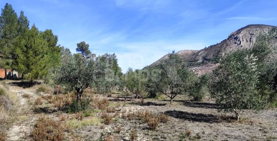 Venta - Casa de Campo - Penáguila