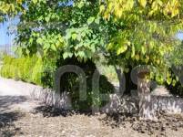 For sale - Country House - Cocentaina