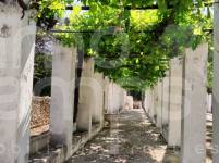 For sale - Finca - Bocairent