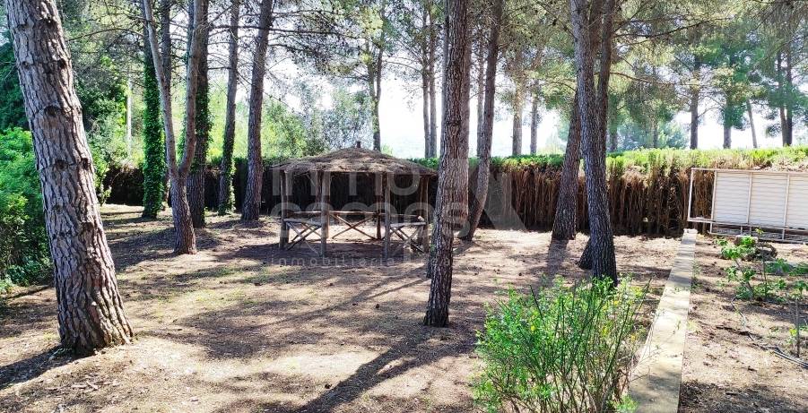 Te koop - Villa - Cocentaina