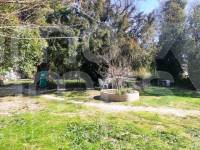 For sale - Finca - Alfafara