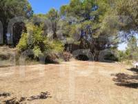 Venta - Finca - Ontinyent