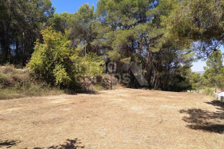 For sale - Finca - Ontinyent