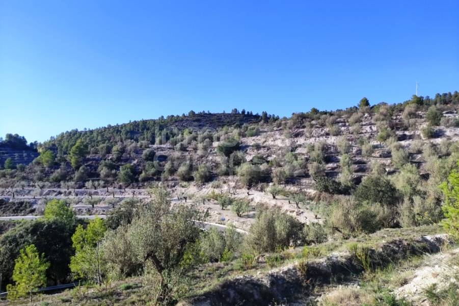 Venta - Casa de Campo - Planes