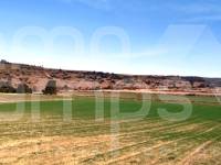 Venta - Parcela Rústica - Alfafara